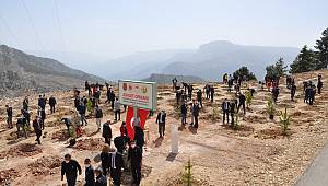 Ermenek'te fidan dikim etkinliği gerçekleştirildi