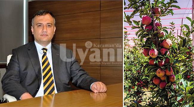 Hobi Diye Başladığı Elmacılıkta Şimdi Kıtalar Arası İhracat Yapıyor