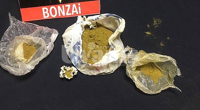 Karaman'da bonzai ele geçirildi