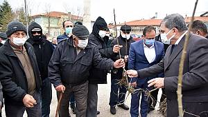 Karaman'da Vatandaşlara Fidan Dağıtıldı