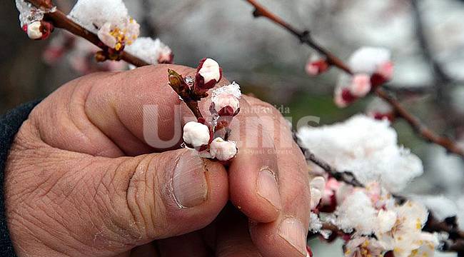 Meteoroloji'den Zirai Don Uyarısı