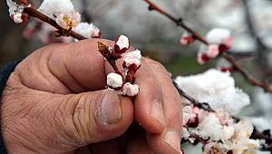 Meteoroloji'den Zirai Don Uyarısı