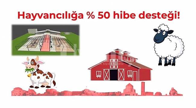 Hayvancılığa yüzde 50 hibe desteği