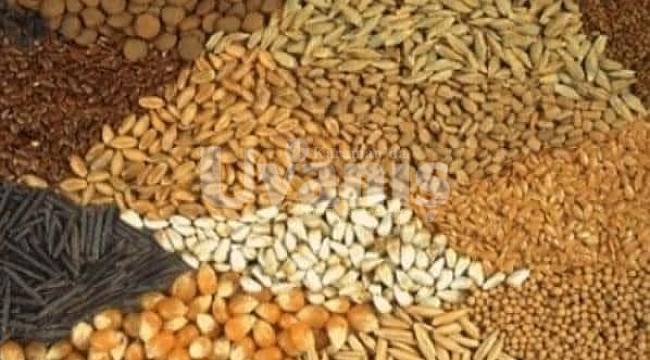 Hububat Baklagil Fark Ödemesi Desteği 2. Dönem ödemeleri başlıyor