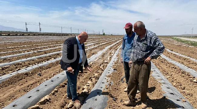 Karaman'ın Meşhur Paşa Karpuzunun Ekimleri Başladı