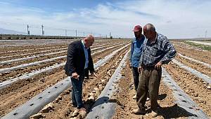 Karaman'ın Meşhur Paşa Karpuzunun Ekimleri Başladı