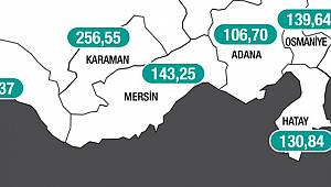 Karaman'ın vaka sayısında düşüş yaşandı