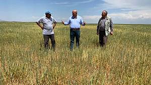 Yollarbaşı Göleti Basınçlı Sulama Sistemi Tamamlandığında Çiftçiye Nefes Aldıracak