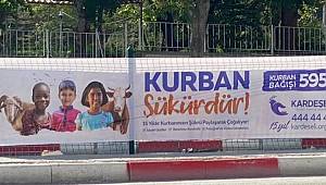 Bayram: Kurban Kampanyaları Hayvan Üreticisine Yarar Değil, Zarar Veriyor