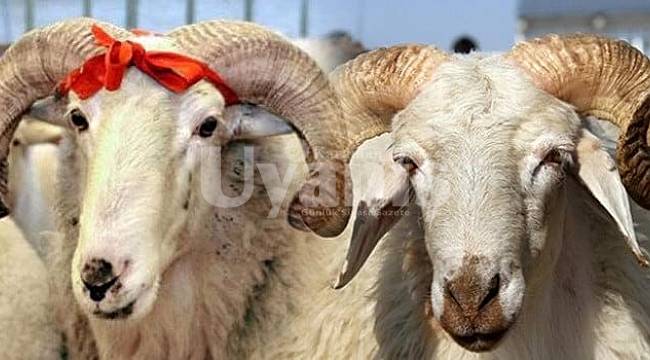 Diyanet Vekalet Yolu İle Kurban Kesim Bedelini Belirledi