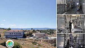 Ermenek'te Mezbaha Kurban Kesim Fiyatları Belirlendi
