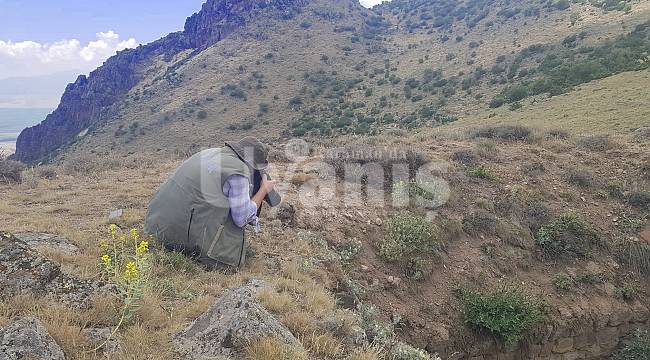 Karadağ'da Kılbasan Geveni Ve Küçük Akbaba İzlendi