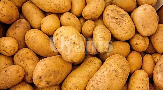 Karaman’da fiyatı en çok artan ürün patates oldu