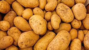 Karaman’da fiyatı en çok artan ürün patates oldu