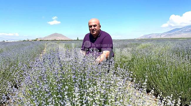 Lavanta, Karamanlı Üreticinin Alternatifi Oldu
