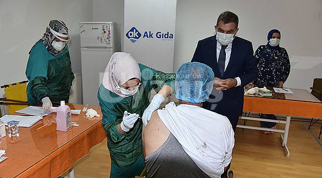 OSB’de Yerinde Aşılama Çalışmaları Başladı