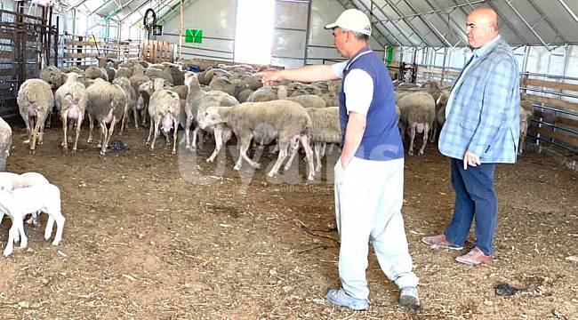 Süt Üreticisi Sıkıntılı Günler Geçiriyor
