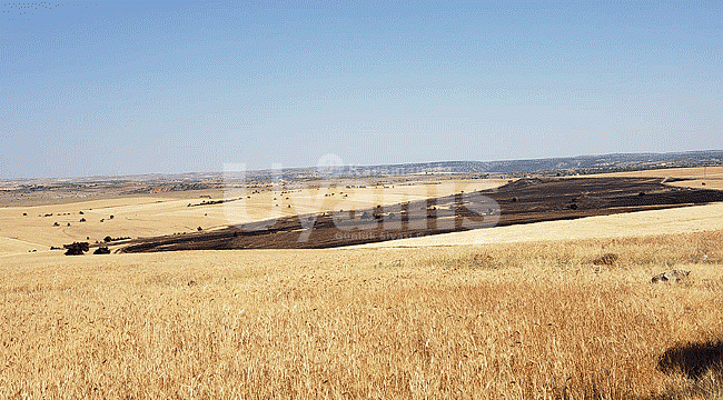 Üreticinin 1 Yıllık Emeği Kül Olup Gitti