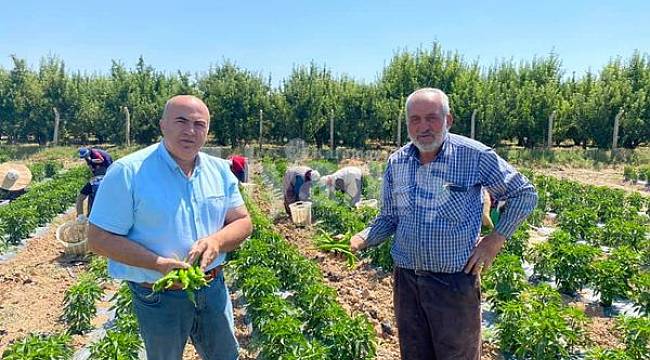 Bayram, "Karaman’da sebze üretimi hızla artmakta"
