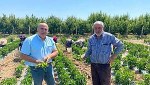Bayram, "Karaman’da sebze üretimi hızla artmakta"