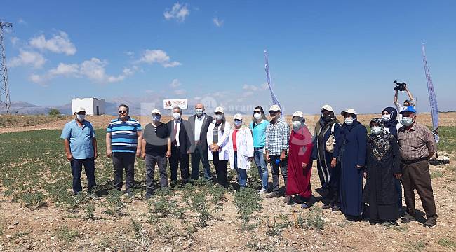 Sürdürülebilir Arazi Yönetimi Projesi Kapsamında Kadın Çiftçilere Tarlada Eğitim Verildi