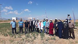 Sürdürülebilir Arazi Yönetimi Projesi Kapsamında Kadın Çiftçilere Tarlada Eğitim Verildi