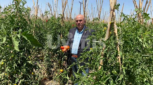 Bayram: Destekler Doğru Adreslere Gitmiyor