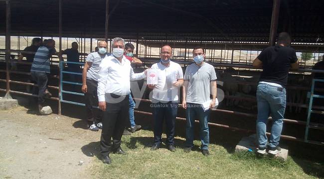 Hibe Destekli Damızlık Koçlar Sahiplerine Teslim Edildi