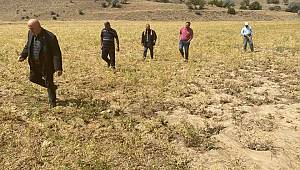 Karaman'da etkili olan dolu yağışı zarara neden oldu