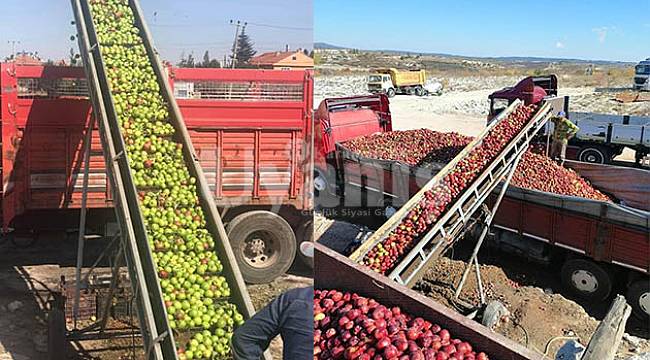 Karaman'da Iskarta Elma Alım Fiyatı 0.75 TL Oldu