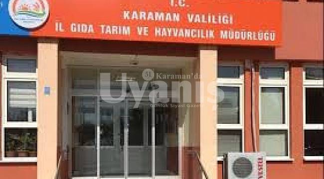 Macar Fiği ve Slajlık Mısır Tohumu Dağıtılacak