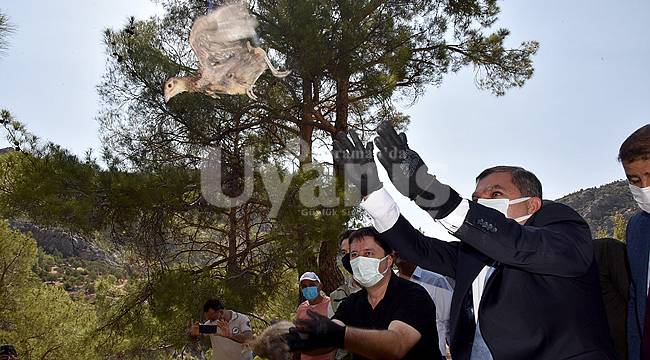 Sülünler Eski Yaşam Alanlarına Salındı