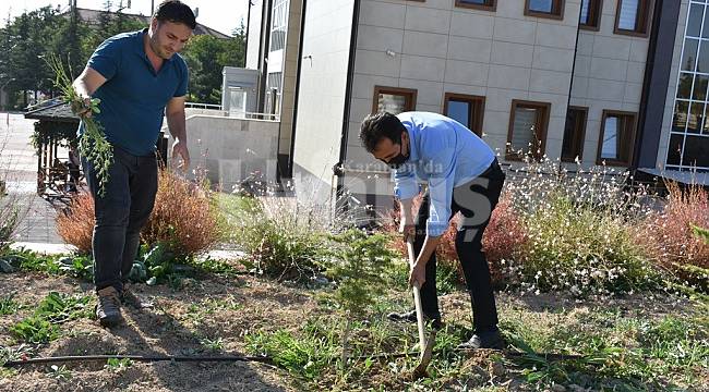 "Telafide Ben de Varım" Diyerek Fidanların Bakımını Yaptılar