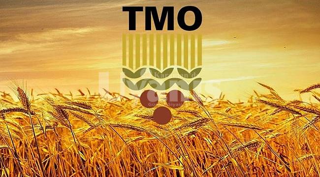 TMO'da Arpa Satışı Başladı