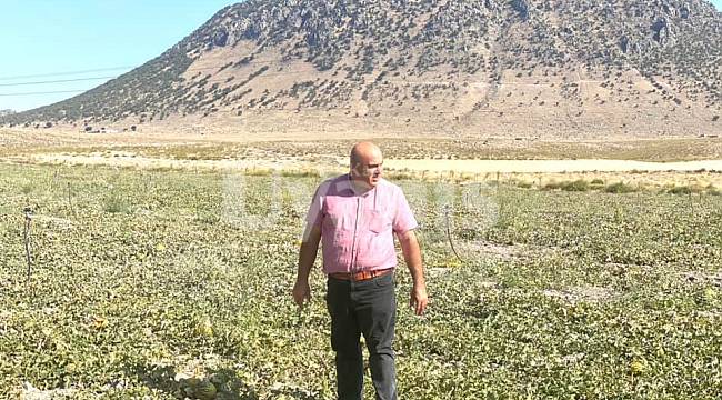 Bayram: Çiftçimizin Ekim Cesareti Kırılmamalı