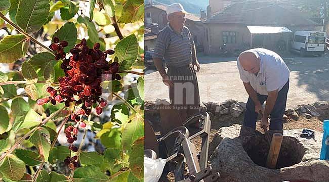 Binlerce Yıldır Bu Coğrafyada İnsanlar Onun Tadına Ve Rengine Tutkun