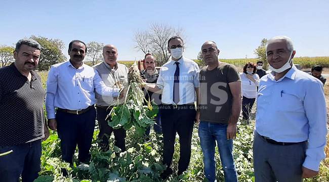 Ereğli Şeker Fabrikası Müdürü Özbay, Karaman'da Pancar Ekili Alanları İnceledi