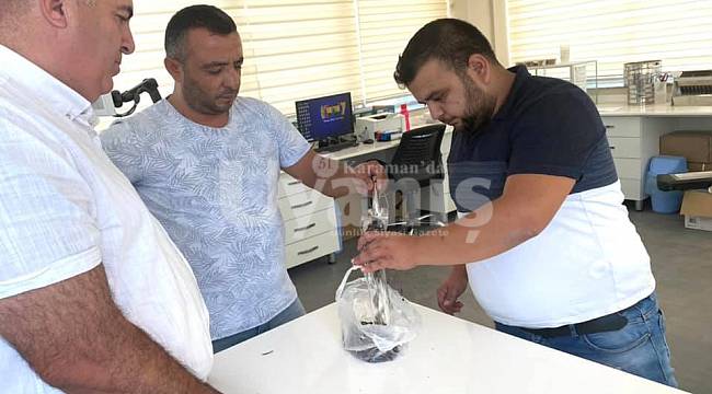 Karaman'da yağlık ayçiçeği üreticilerinin dikkatine