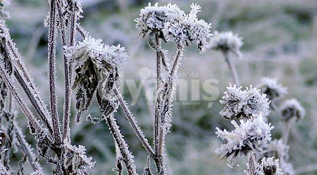 Meteoroloji’den Zirai Don Uyarısı