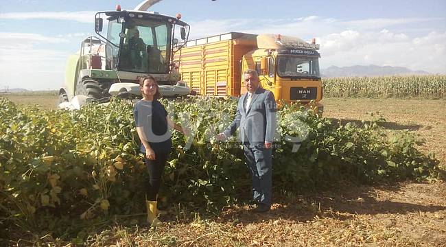 Silajlık Soya Hasadı Yapıldı