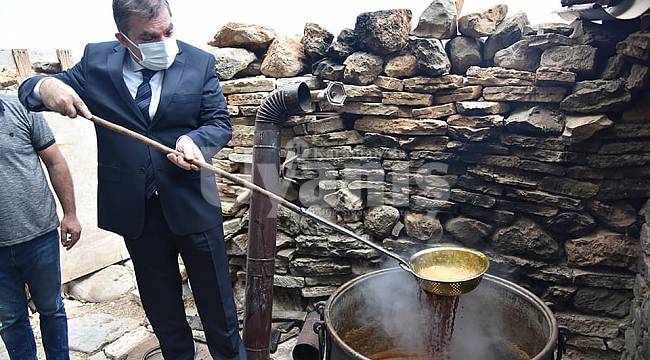 Vali Işık Tarlada Üreticilerle Hasat Yaptı