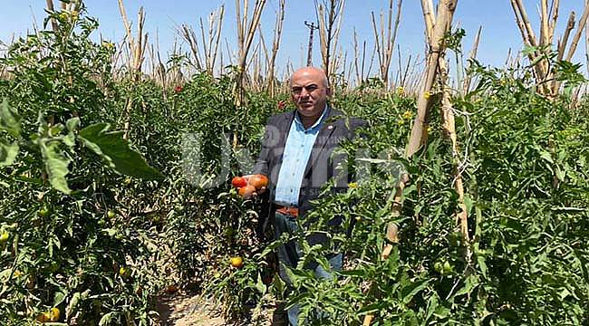 Ziraat Odası Başkanı Bayram; "Sebze Meyve Alışverişlerimizi Semt Pazarlarından Yapalım Hem Çiftçimiz Hem Esnafımız Hem Tüketicimiz Kazansın…"