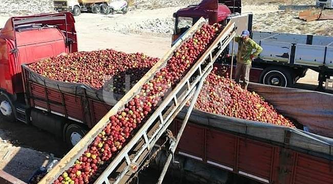 Bayram, "Üreticilerimiz ıskarta elmalarını satmak için acele etmemeleri menfaatlerine olacağı kanaatindeyiz"