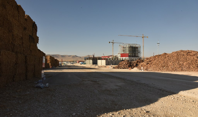 Biyokütle enerji santrali için ormanlar katlediliyor iddiası