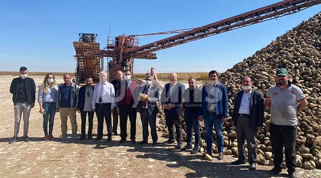 Karaman'da 500 bin ton pancar rekoltesi bekleniyor