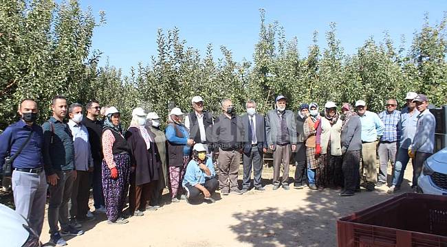 Karaman'da elmada hasat kayıplarının en aza indirilmesi için çalışma başladı