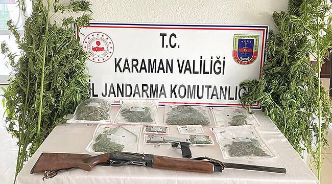 Karaman'da  esrar ve kenevir ele geçirildi