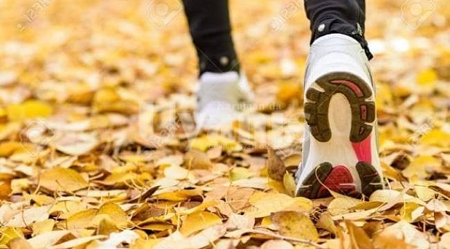 Sağlığınız için günde en az 30 dakika yürüyüş yapın