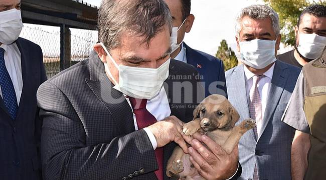Vali Işık'tan Can Dostlarımıza Özel İlgi