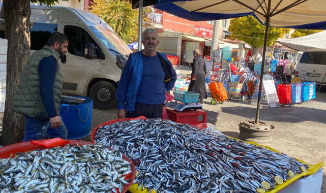 Balık Fiyatları Düştü